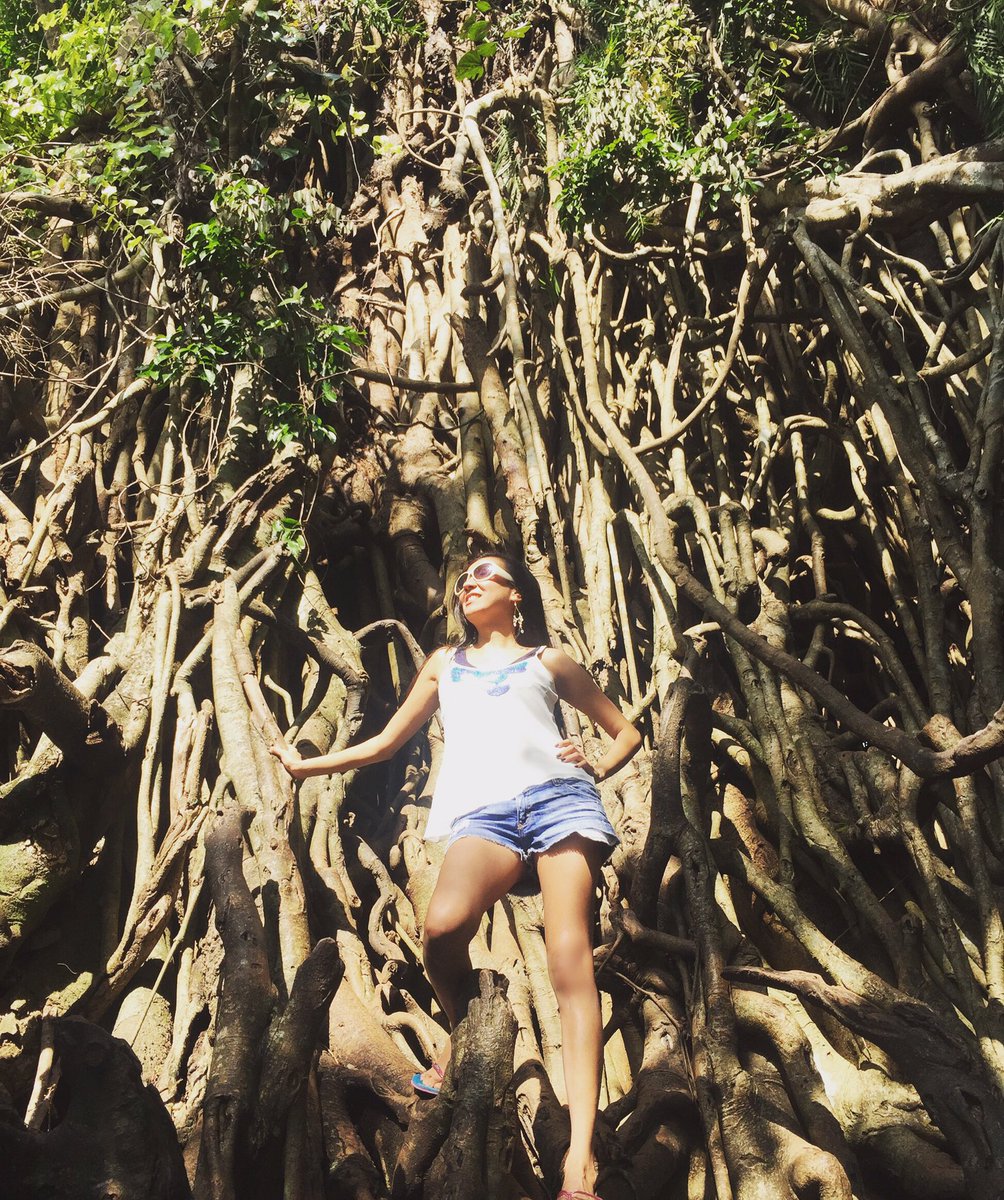 angelaAchavez's tweet photo. Being a posh monkey among the roots!😂🐒😆🙉😹🙊👻🙈 #baler #aurora #maria #quezon #baletetree #angelatravels #baler2016 https://t.co/2BBiL3uDkh