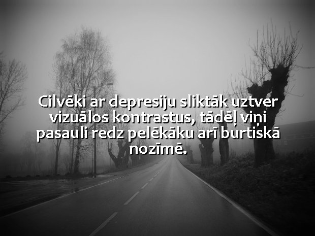 Factbook (@factbooklv) on Twitter photo 