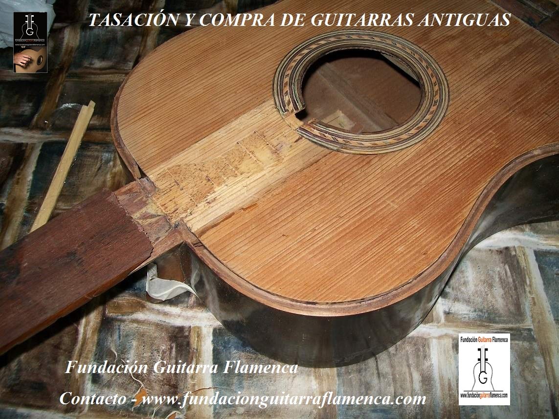 Fundacion G Flamenca (@fundaciongf) on Twitter photo 
