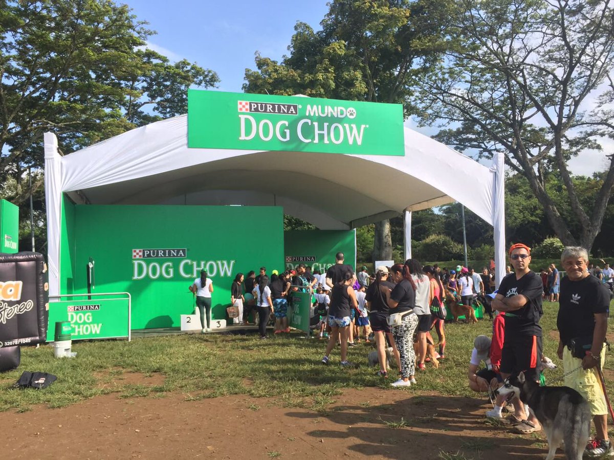 petruncolombia's tweet photo. Así Se vive Pet Run Dog Chow Cali desde el parque del ingenio. https://t.co/NYDijzXdE2