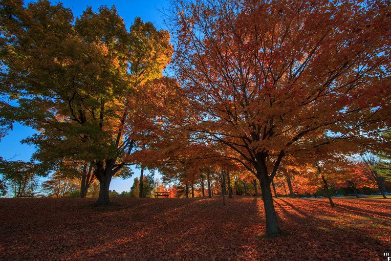 martinfowler's tweet image. photostream 103
martinfowler.com/photos/103.html