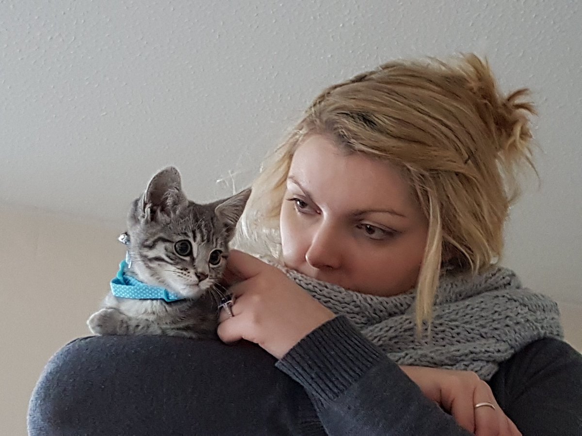 Thought I had a new playmate but got so excited was locked out of the living room.