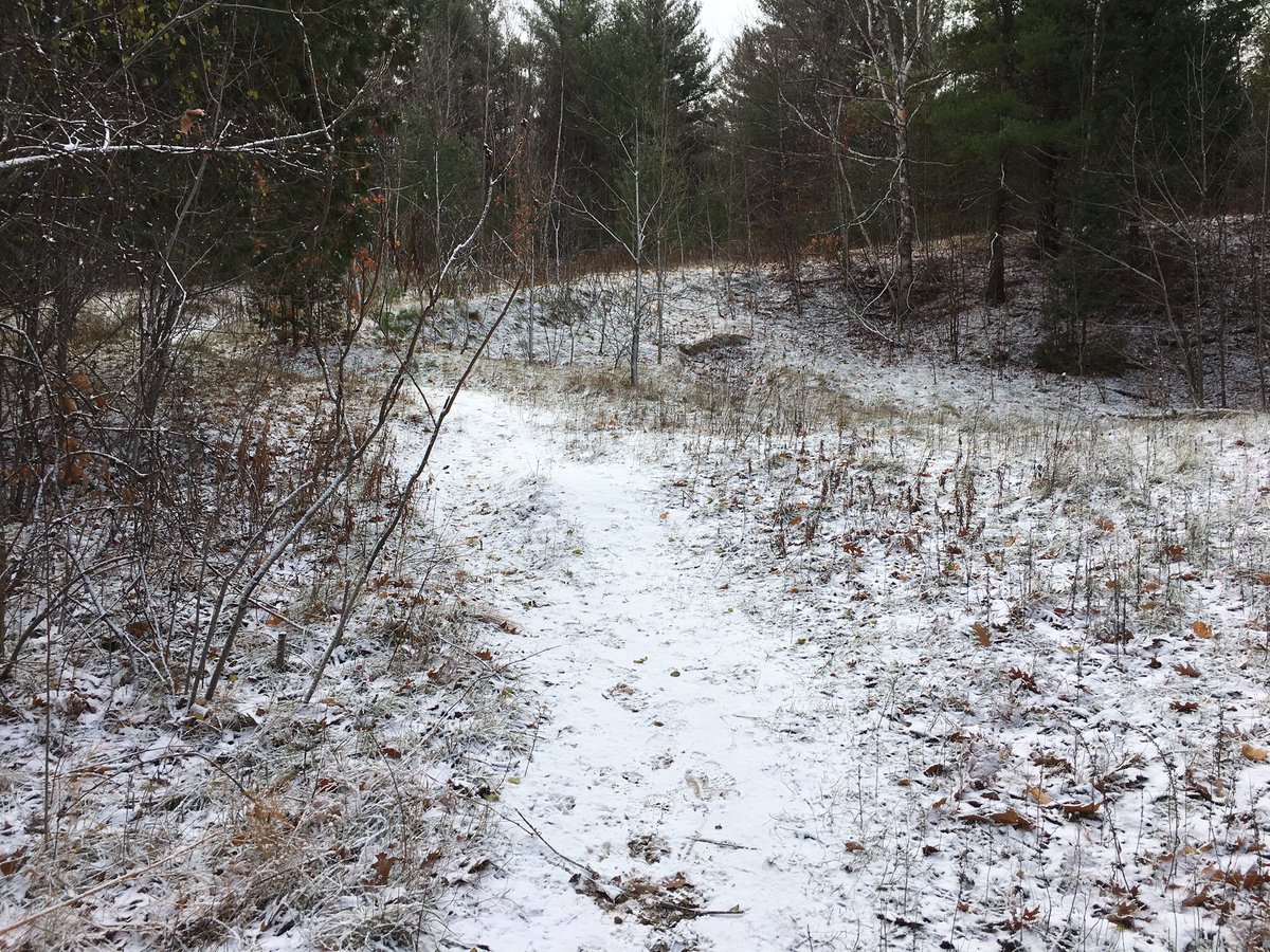 Edgecombe2John's tweet photo. Cold morning #trailrun at Joker's Hill today; @SalomonRunning Spikecross shoes worked great in snow; 20th straight #movembermove; #runtagit https://t.co/SaH2WQQROc