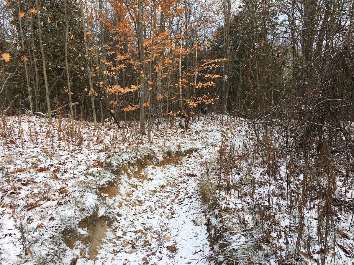 Edgecombe2John's tweet photo. Cold morning #trailrun at Joker's Hill today; @SalomonRunning Spikecross shoes worked great in snow; 20th straight #movembermove; #runtagit https://t.co/SaH2WQQROc