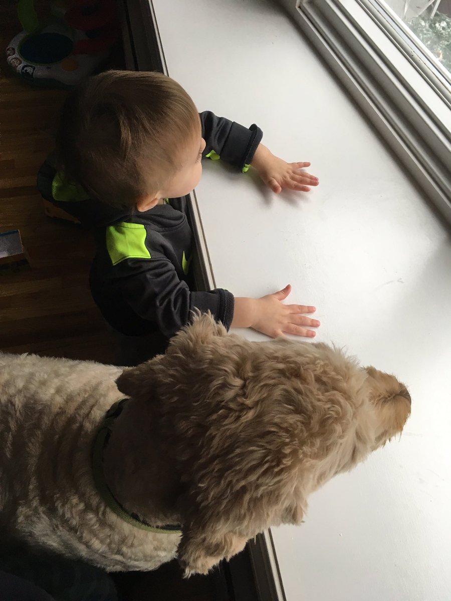 IAmJimtheDad's tweet photo. #bestfriends https://t.co/IgNtBZdvrD