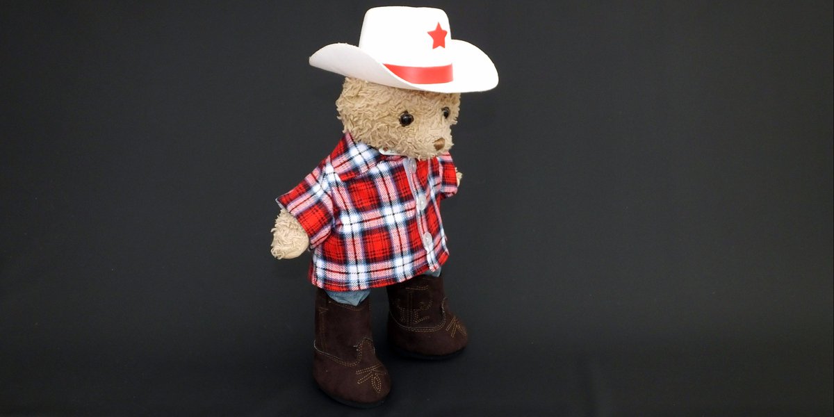 ltluchristian's tweet photo. @StuffieStuff1 Lu's tweets Fashion Friday was inspired by line dancing so Christian kindly lent me his awesome new #StuffieStuff shirt #Fab https://t.co/GguMJyOXsJ