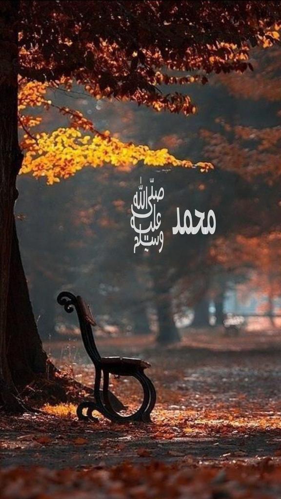 ﷽﴿إنّ اللَّهَ ومَلَائِگتۿہ يُصَلّون علىٰ النبيِّ ياأيها ٱلّذين آمنُوآ صلواْ عَلَيۿہ وسلِّمُوآ تَسْلِيمًآ﴾
#صلوا عليه