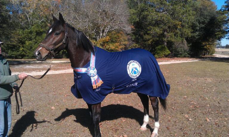 gojumpracing's tweet photo. Top Striker Sunday AM https://t.co/fJZfyRcJFX
