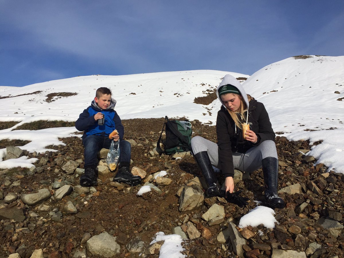 ecotechsystems1's tweet photo. Fab walk upthe #Cumbria fells with Max n Sophia @carlisleambass @GarethPresch @asfearon @Mel_T_24 earlier today #NotJustLakes #getupngetout https://t.co/pWGc5R3vnB