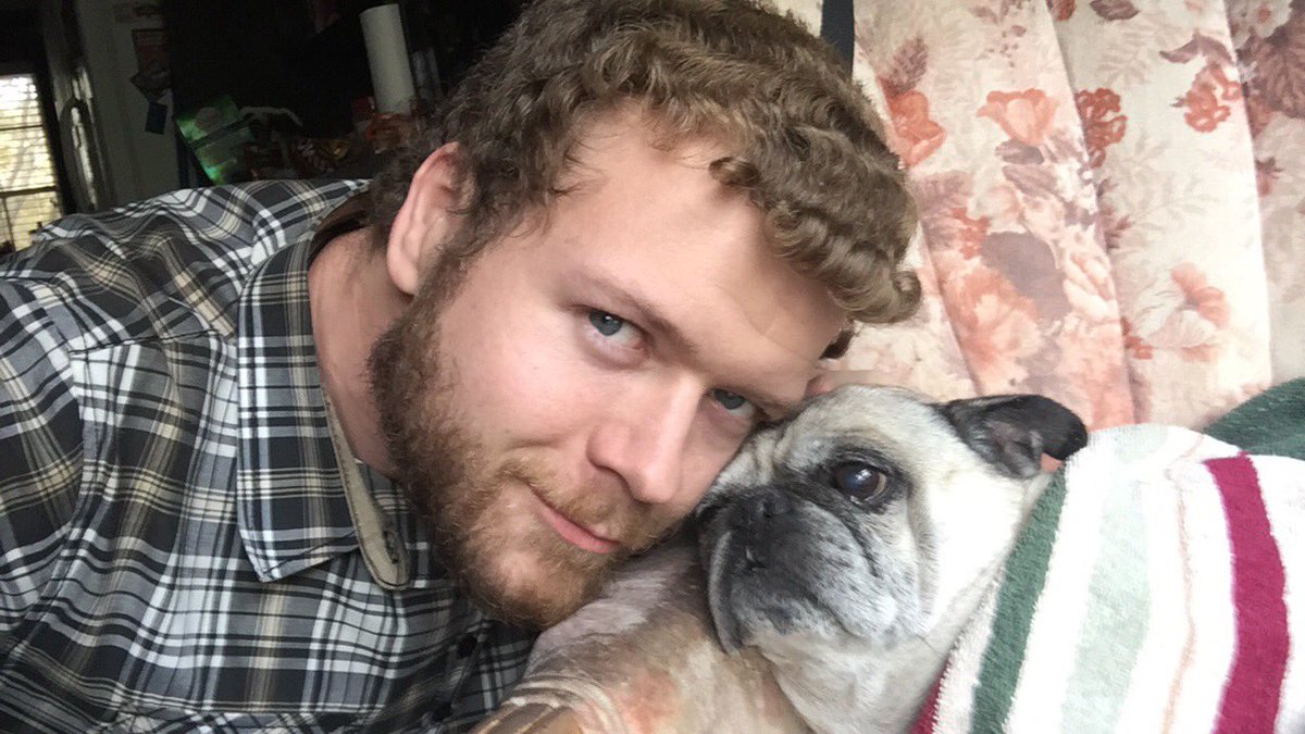 willdajustice's tweet image. Jack say howdy! #pug #pugs #puglet.