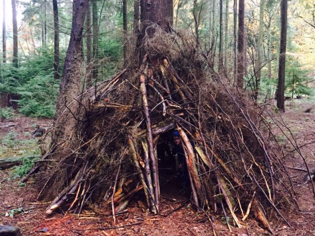 natureschools's tweet photo. Incredible #dens on our #woodland walk #thegreatoutdoors https://t.co/QmfGBVKwuA