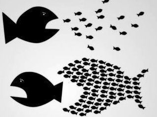 BarbaraMazieres's tweet photo. Renvoyez la classe politico médiatique dans ses pénates ! #PoissonPirate #Laprimaire Faites encore mentir leurs prévisions #trump #brexit https://t.co/8PWuhGbA1E