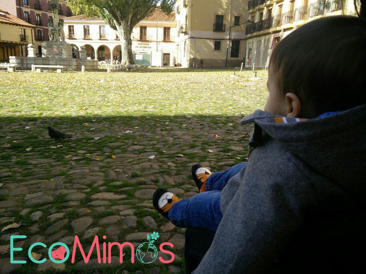 EcoMimosOficial's tweet image. ¡Estrenando los Pololo Soft!goo.gl/nrs6qx Preciosos. El mejor calzado para el bebé.#DiaUniversalDelNino @POLOLOohg