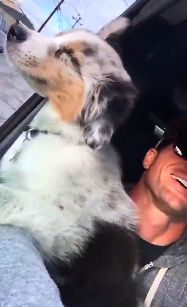 PatriciaCheeve2's tweet photo. "Man that feels good"
Enjoying a ride out with my dad! {olllo} ๐ถ #aussie.mav
@RyanHaake
#ryanhaake #chillingoutside
#puppylove ๐๐๐ https://t.co/fU6fu7yYFL