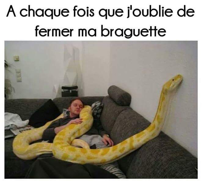 DonGustavo7's tweet image. 