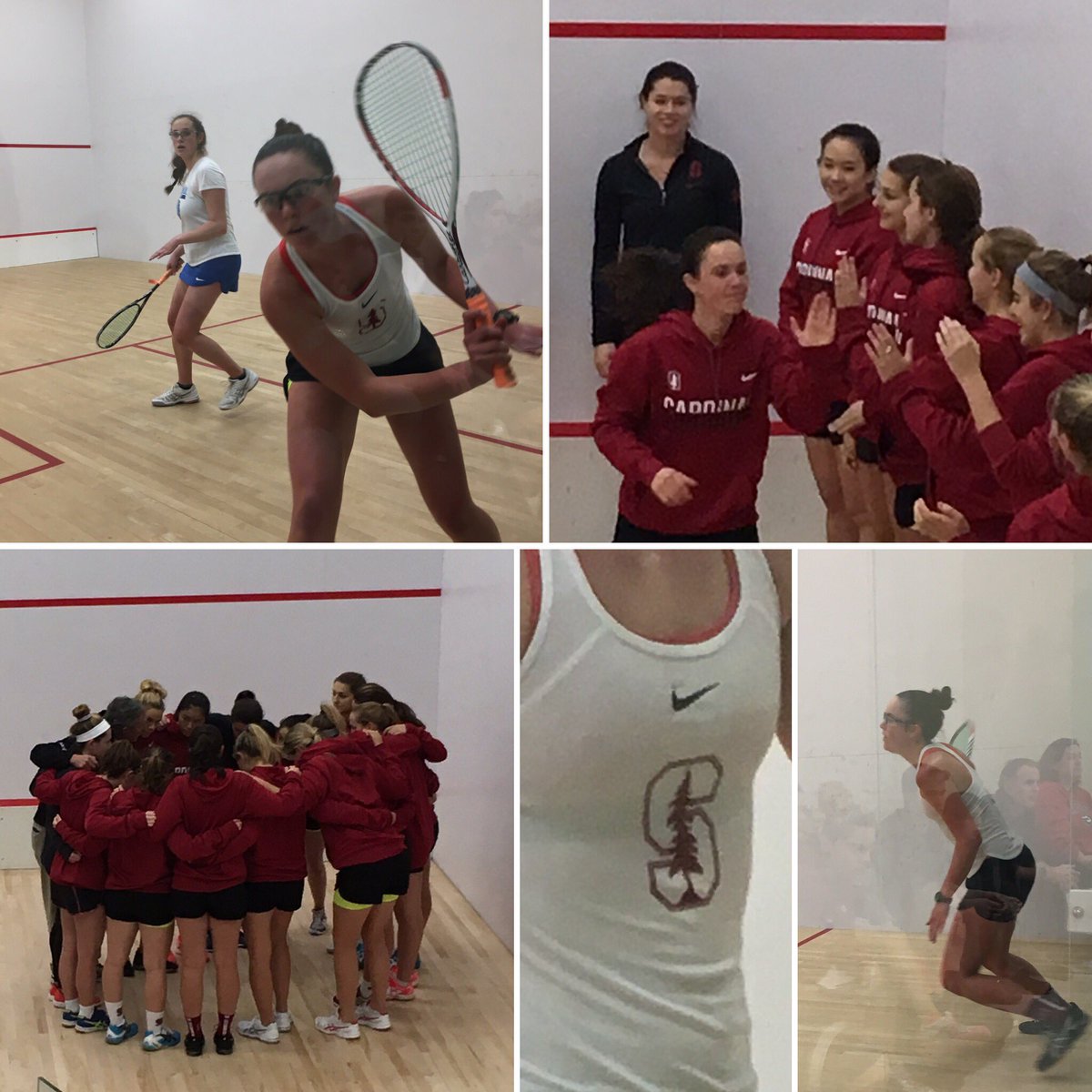 Grayson Melby back on her home courts <a href="/GCCsquash/">GCC Squash</a> to play Columbia today! #gostanford #gfsalumni