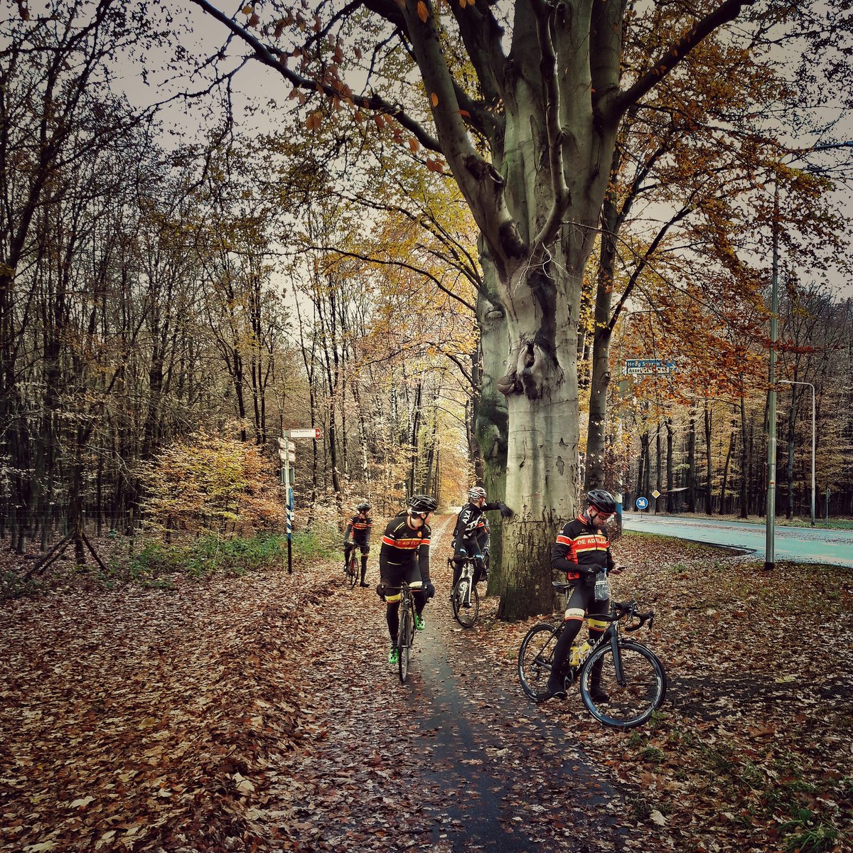 Adelaar Cycling Team tweet media