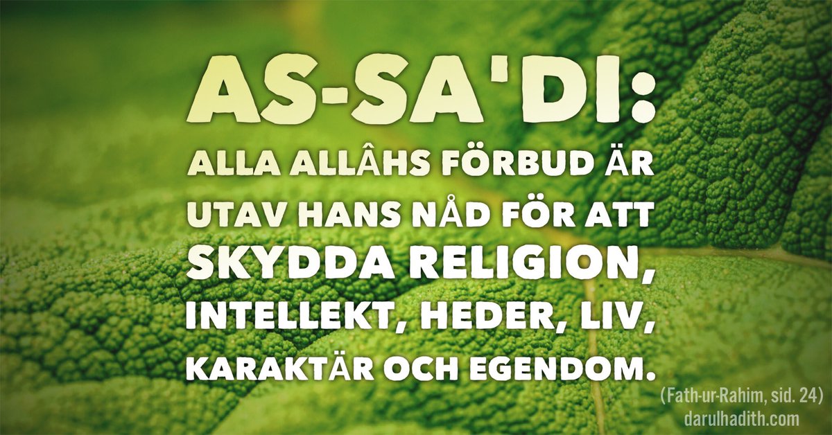 IslamKunskap's tweet photo. #islam #Allâh https://t.co/hhm7zQ68Fj