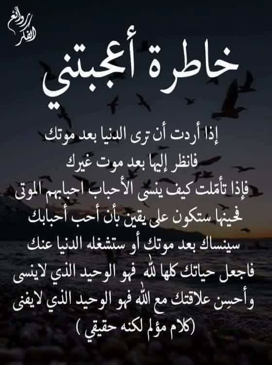 sultan8609 tweet picture