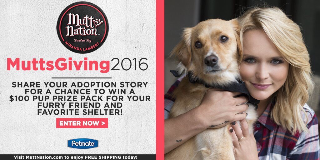 1033Country's tweet photo. #MuttsGiving2016! Share Your Story for a chance to win a @MuttNation Prize Pack for your Pup & Favorite Shelter: https://t.co/YNGpBpU6Ie https://t.co/NpqKPWn9jr