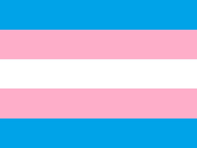 funny_ace's tweet photo. Today is transgender Remembrance Day, lets stand together and remember those who lost their lives through anti-transgender acts. 🕯 https://t.co/MbEUcXeG6d
