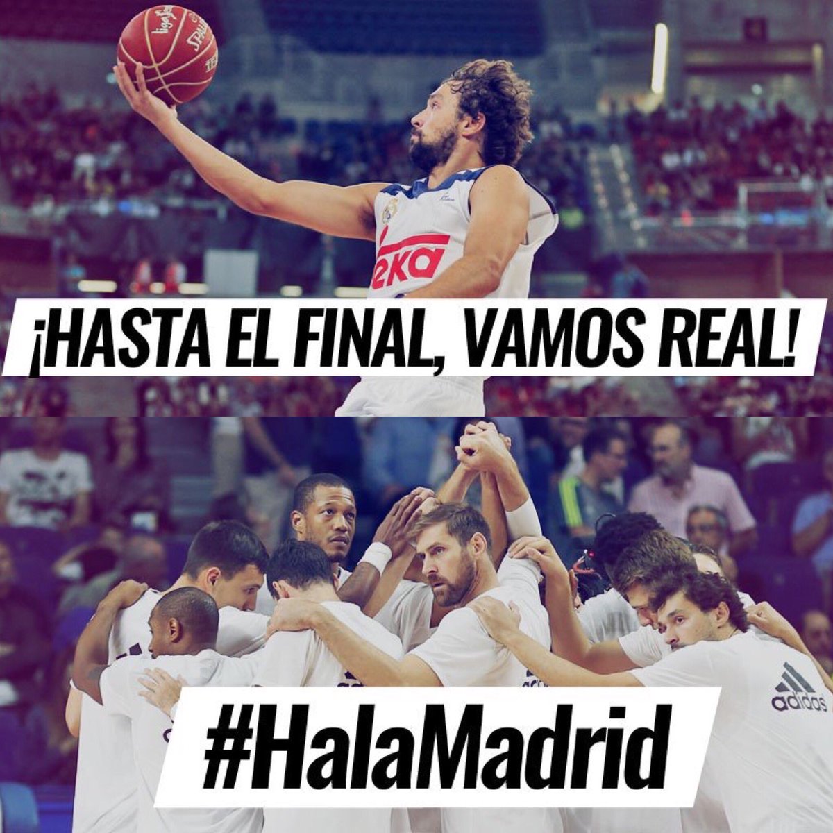 Sergio Llull tweet media