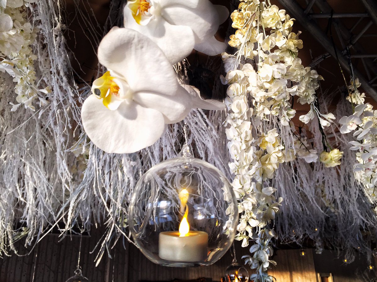 andrewcass's tweet photo. Pics from @SignatureLiving #EDENLAUNCH couple of insta pics I got place and the whole experience was amazing https://t.co/THJegRdjwp