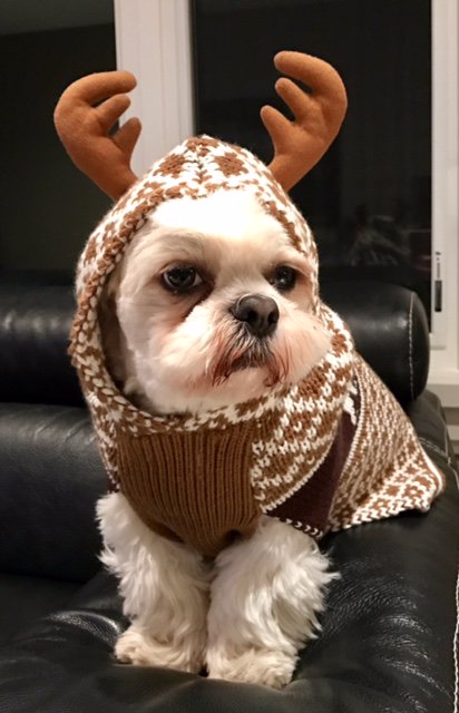 Gaston is snow ready - are you?  A reminder - keep driveways and sidewalks clear for the safety of installers! #counters #granite #quartz