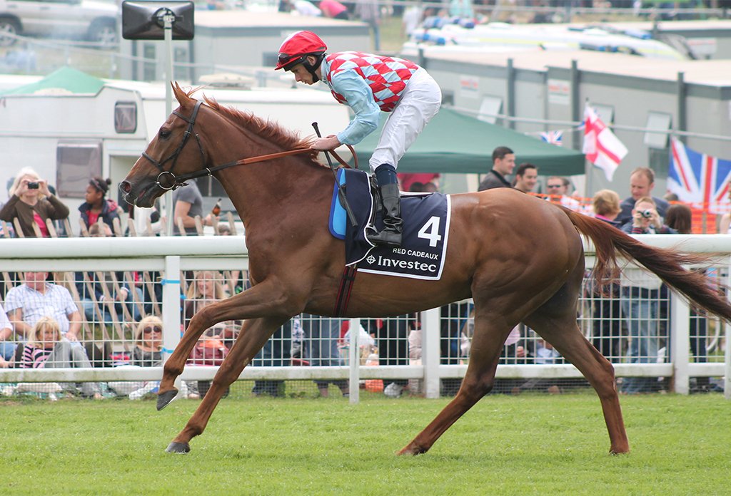 tabcomau's tweet photo. 1 year ago we lost one of the true warriors of the turf. Rest In Peace Red Cadeaux. https://t.co/JRJSaA8vTw
