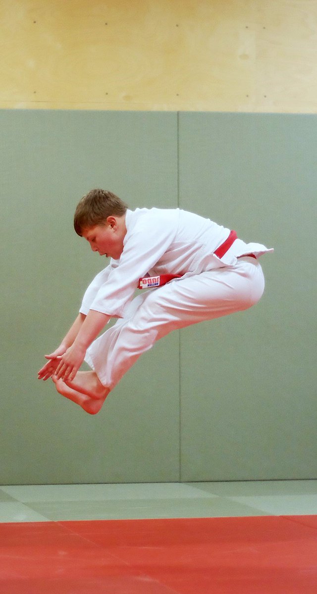 Westcroftjudo's tweet image. Great picture @DavidJPage2 #judo #training #explosivepower #plyometrics #pike