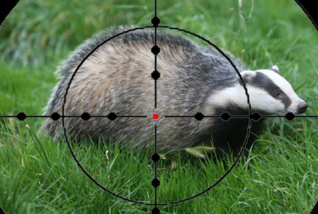 sforbes11's tweet photo. Did a little badger huntin' today and came away with 3 pts and a solid 4th in the conference @voyageurshockey @VoyageursWHKY
#inyoursights https://t.co/y0qBE95y0J