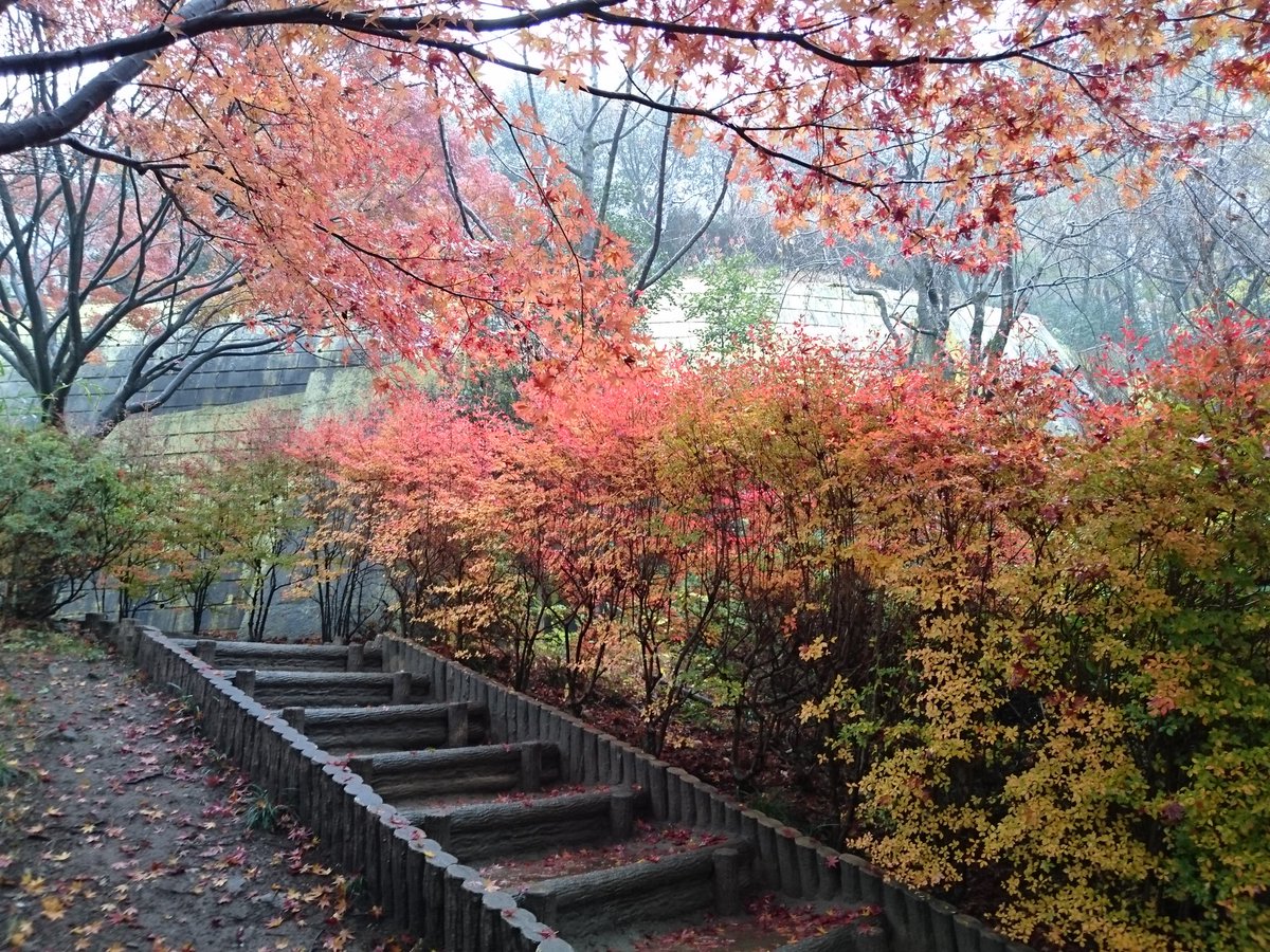 minraku's tweet image. わたらせ渓谷鉄道 旅記録