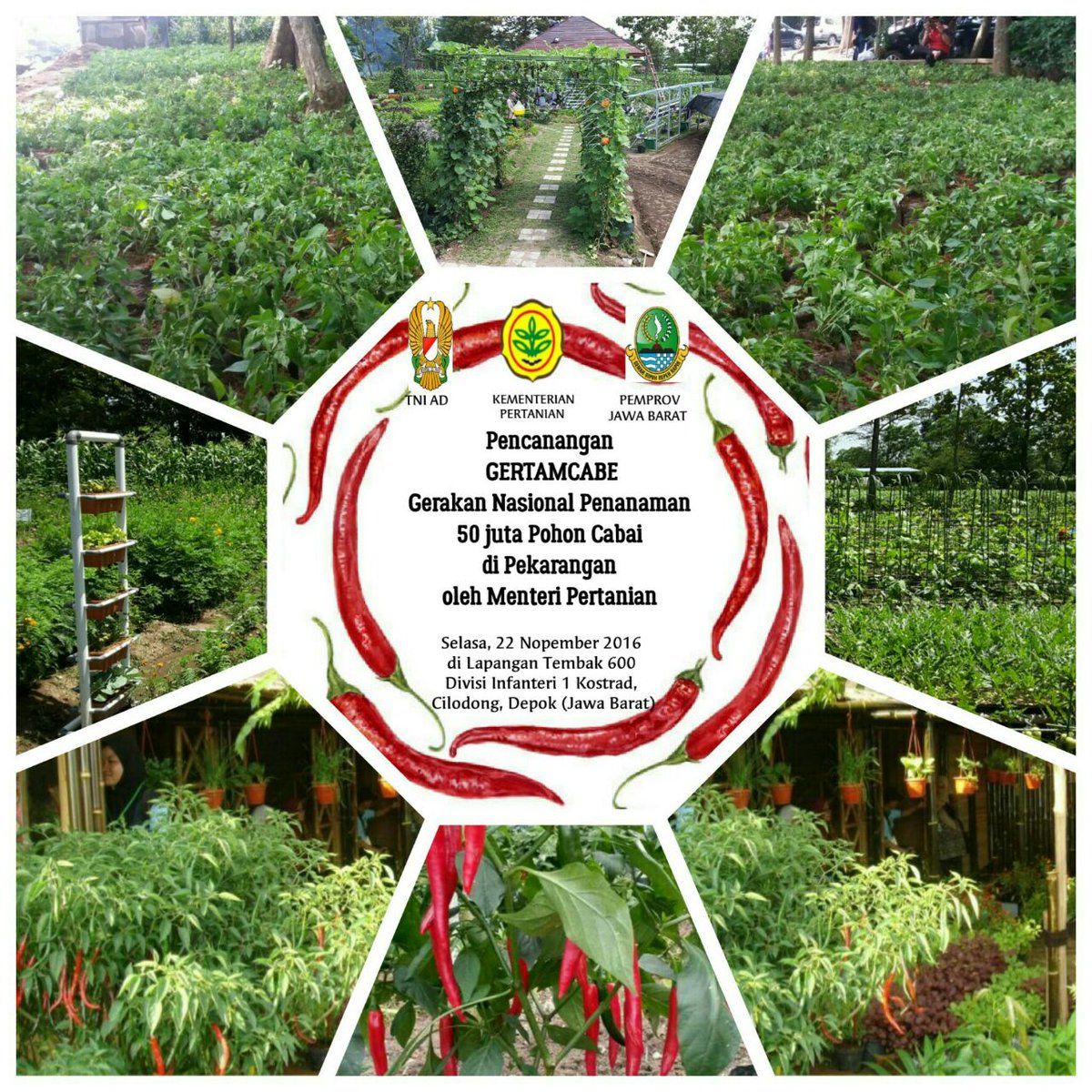 Pencanangan GERTAMCABE, Gerakan Nasional Penanaman Pohon Cabai di Pekarangan oleh Mentan di Depok, Selasa 22/11/2016