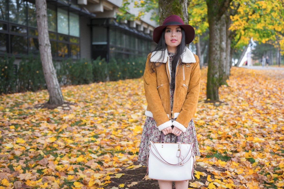 glamouraspirit's tweet photo. Fall pretty with this bag @Coach #coachfall2016 #ad #gorogue #outfitdoll #outfitinspo #ootd #shearling #fallstyle > >https://t.co/jXRKz8FmAl https://t.co/wwZ8u5bDBE
