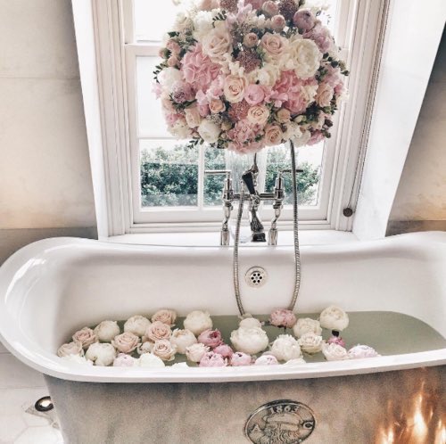 suoai191's tweet photo. #flower #اختيارات_عشوائية https://t.co/oZcSktSm1P
