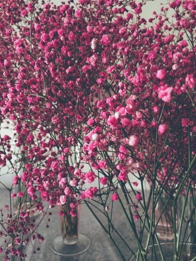 suoai191's tweet photo. #flower #اختيارات_عشوائية https://t.co/oZcSktSm1P
