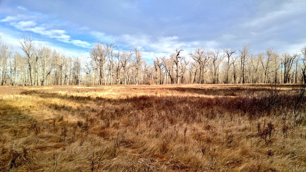 BowRiverWPAC's tweet photo. Shout out to the great folks over at @fish_creek who do a lot of great work! It's a gorgeous looking workplace too... #gotparks #getoutside https://t.co/1LBhNBIyFt