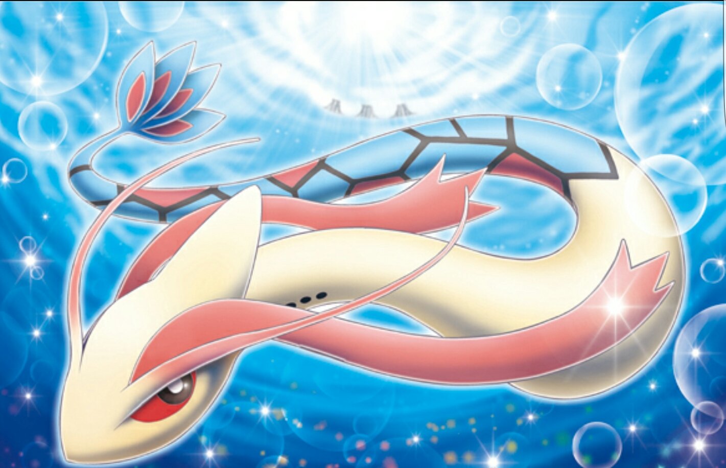 ツタメン 水ポケモンは美しいよね 1枚目ミロカロス 2枚目ラプラス ツタメン 水ポケモンは美しいよね 1枚目ミロカロス 2枚目ラプラス