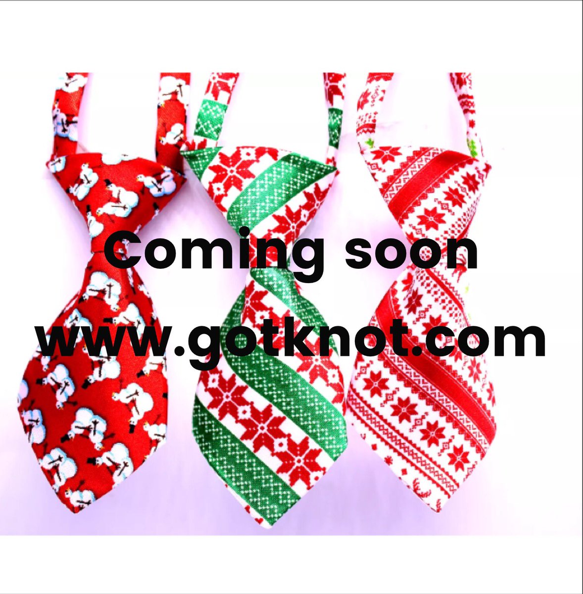 Gotknot's tweet photo. Got https://t.co/m2Fy3qhdSz #pets #petbowtie #holidaypetphotos https://t.co/hcjHXNYUHc