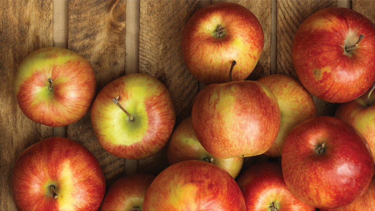 CulinaryCouncil's tweet image. It&apos;s like comparing apples to apples. No, that&apos;s exactly what it is. #MacysChefs are explaining the differences. 🍎🍏 ow.ly/qjmf305CFji