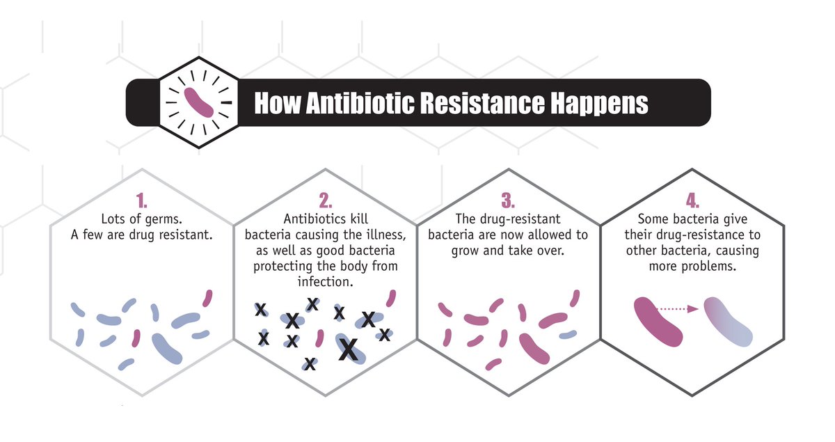 SealShield's tweet photo. How #AntibioticResistance happens! #GetSmartWeek https://t.co/Io0ysuMj7N