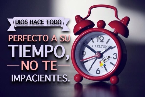 Mauri75351251's tweet photo. @gines_gladys @Silvia7915 @Jenyfferli @BelenDulzura @GloriaOviedo @lilidemakiver @Ileapri1 @NicoleMSantiag2 @marymarh1601 https://t.co/o0rk9SSknq