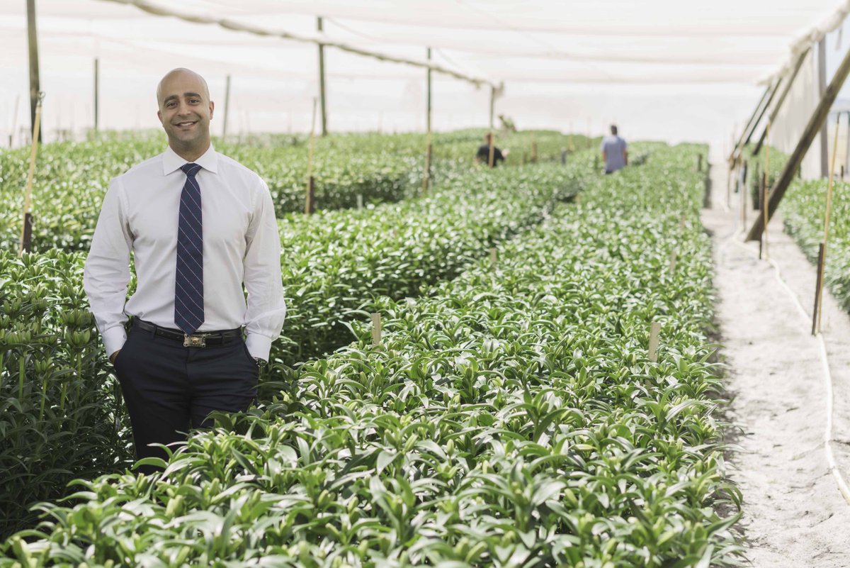 The SDGS provides an easy way for clients to identify the #sustainability goals that are vital to their industry. pwc.to/2gz95Bv