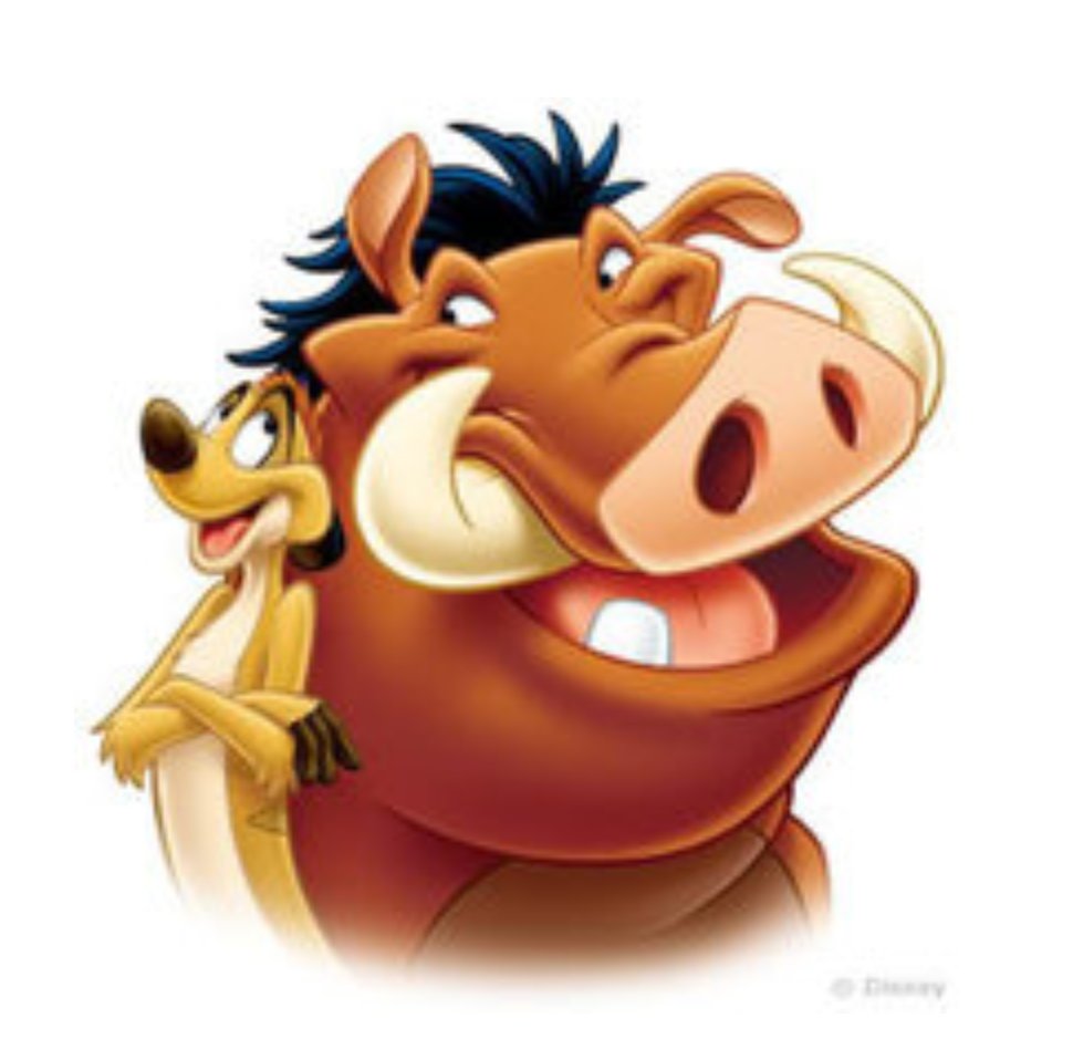 Wwwmokowww ディズニーのイノシシ並のキバ