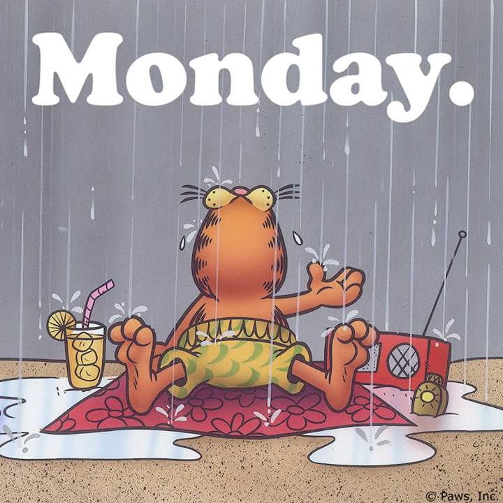IngramTania's tweet photo. Alarm goes off at 5am start to get ready for work then remembered I'm on holiday!!! What a Numpty #turnalarmoff https://t.co/oaxPB1rN4A