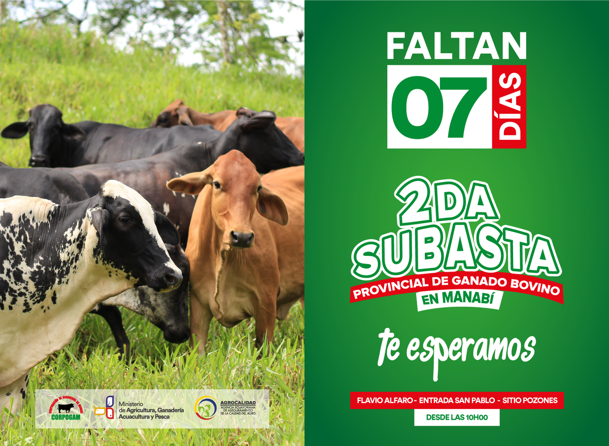 Corpogam1's tweet photo. @MashiRafael @JorgeGlas @ricardozampais @AgriculturaEc @AgrocalidadEC @ricardozampais @MAGAP_Manabi @GADManabi @ppsesa @Margotholmedo https://t.co/HGbkBPeJI3