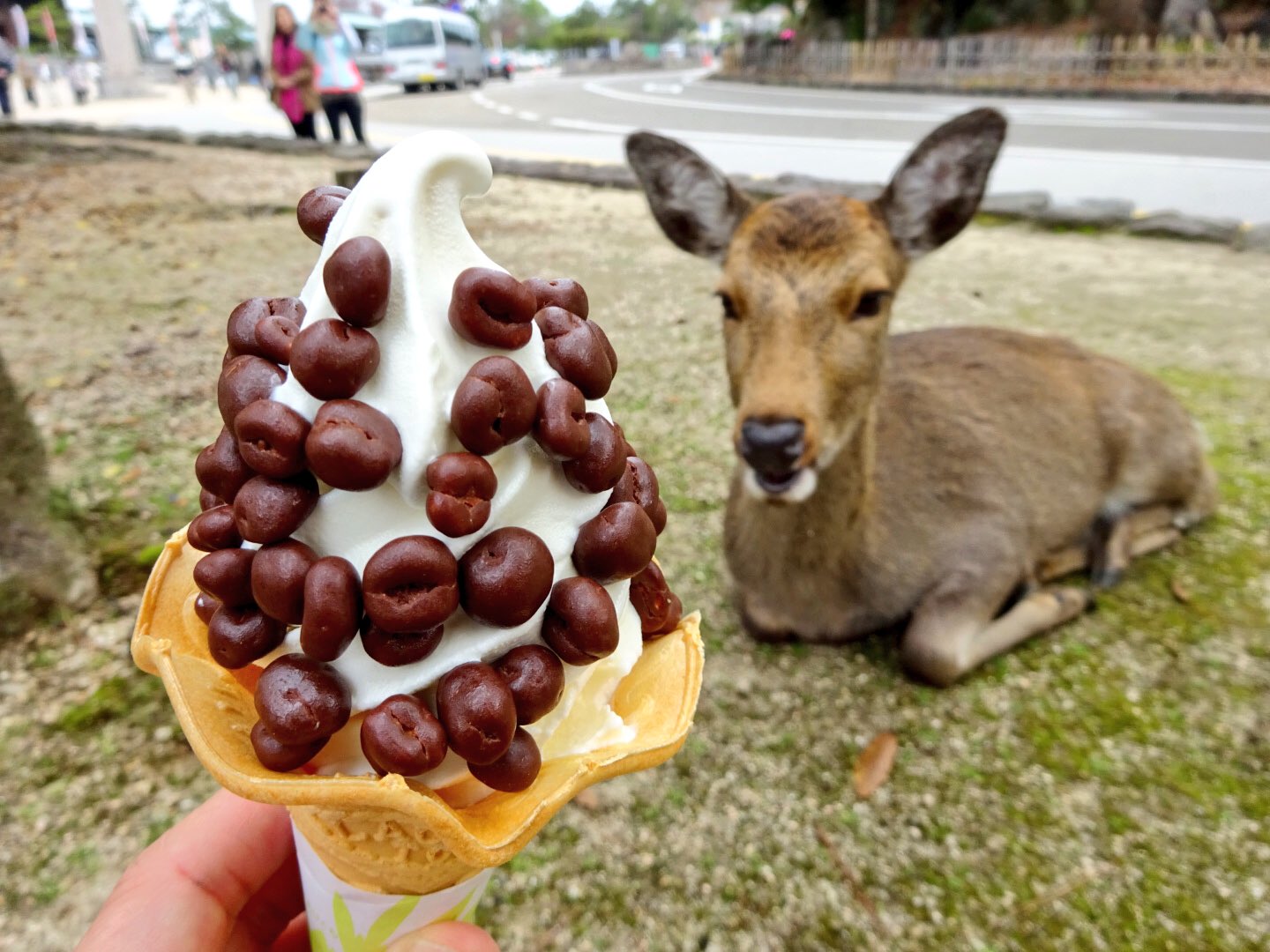 Twitter 上的 プロソフトクリーマー森川 今日は広島の世界遺産宮島でソフトクリーム活動です まずは到着後すぐのところにある鹿ソフト 英語でdeer Poop Ice Creamと書かれている通り 鹿の糞のソフトクリームですw ソフトクリーム 宮島ソフト T Co Twitter 上的 プロソフトクリーマー森川 今日は広島の世界遺産宮島でソフトクリーム活動です まずは到着後すぐのところにある鹿ソフト 英語でdeer Poop Ice Creamと書かれている通り 鹿の糞のソフトクリームですw ソフトクリーム 宮島ソフト T Co