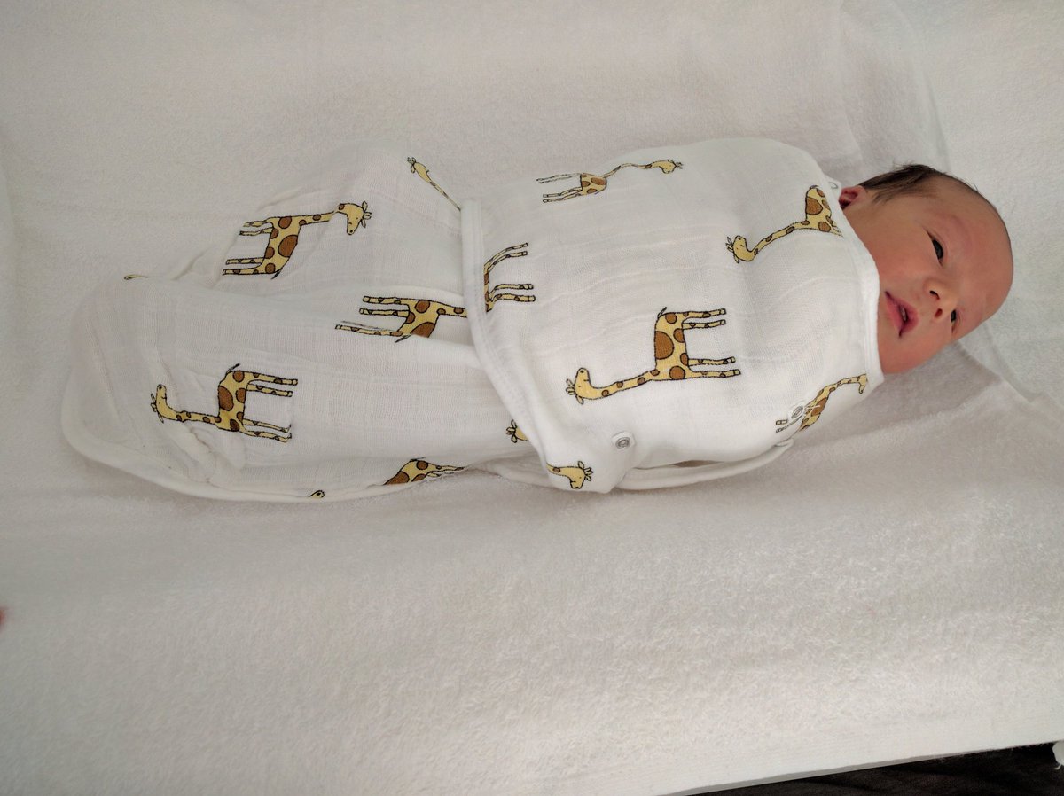 Dashiell is the recent proof-of-work project monopolising my time. We expect commercial applications to be available in about 25 years.