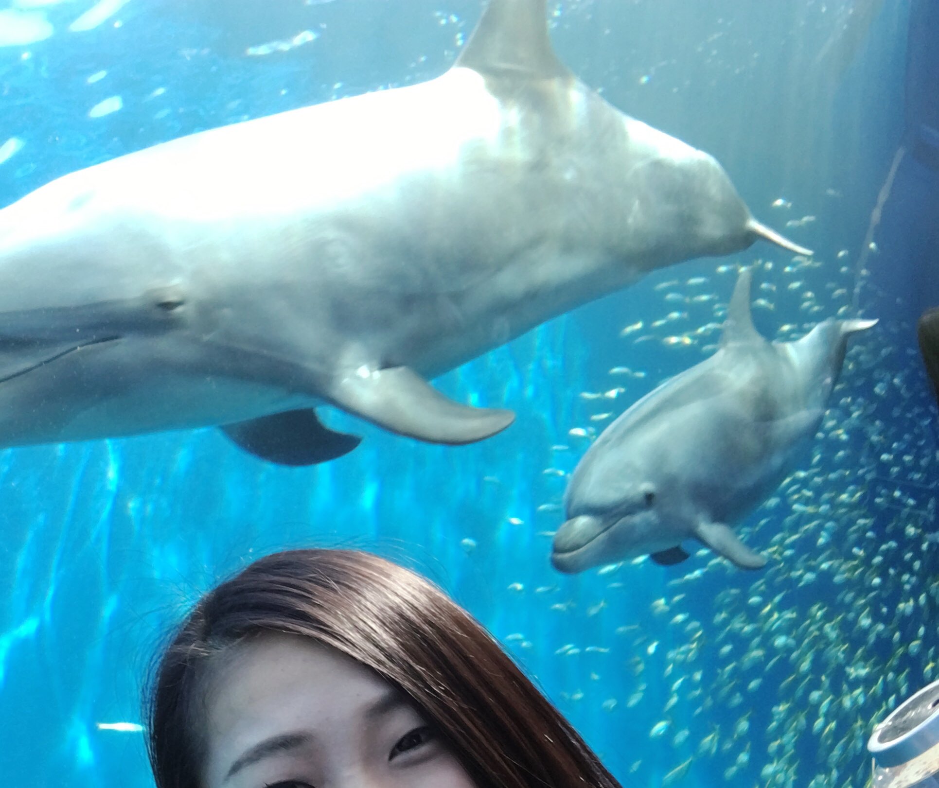 aquarium 盗撮  / X