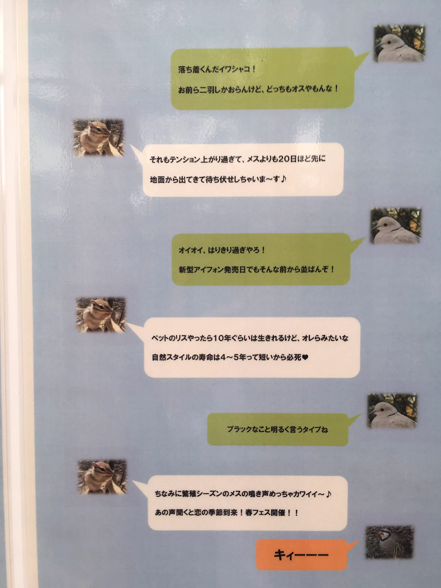 こうゆう会話好きｗ動物LINEのやり取りがまるで女子高生ｗｗｗ